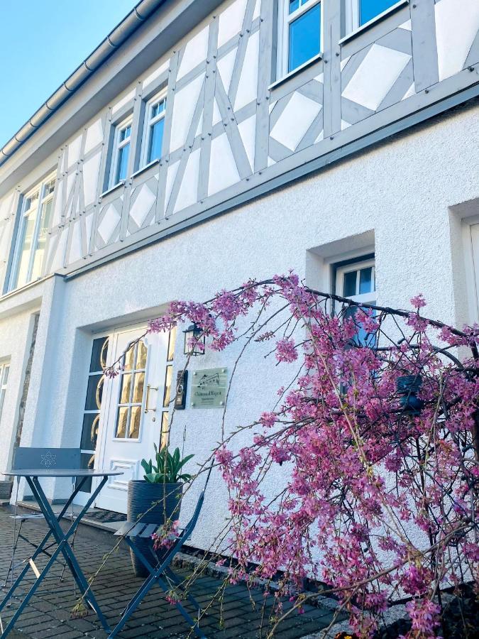 Apartments Im Chateau D'Esprit Höhr-Grenzhausen Esterno foto