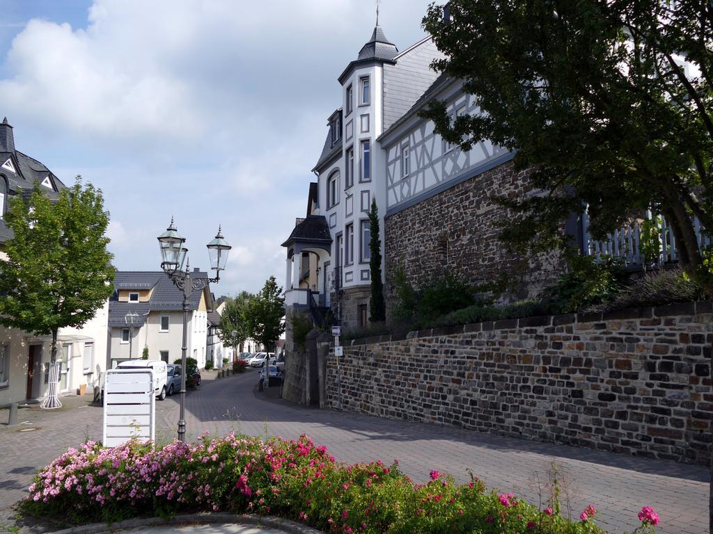 Apartments Im Chateau D'Esprit Höhr-Grenzhausen Esterno foto